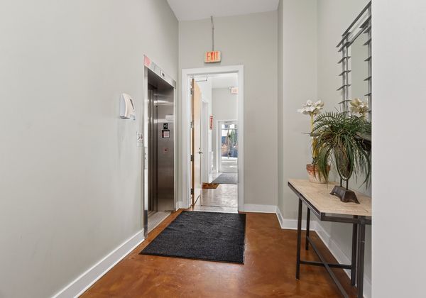 Elevator landing with the elevator door, a console table with plants, and a short hall to a residence entry